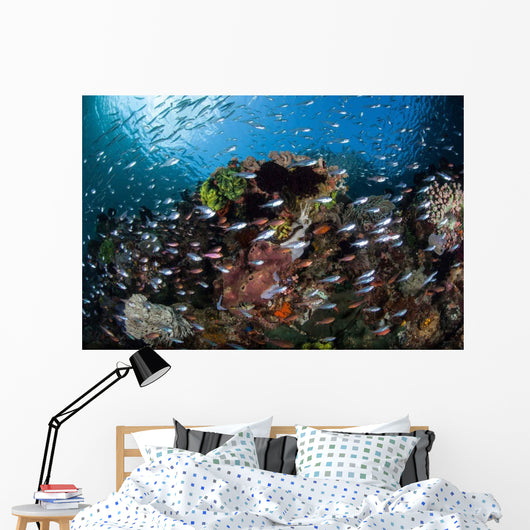 Colorful Coral Reef Is Wall Decal Design 5