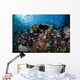Colorful Coral Reef Is Wall Decal Design 5