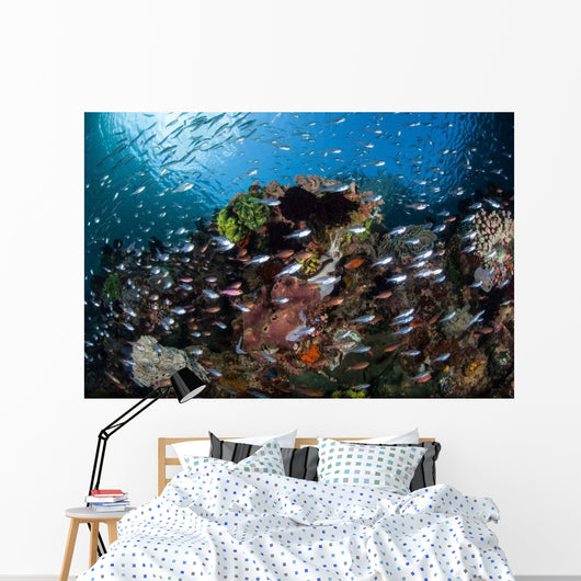 Colorful Coral Reef Is Wall Decal Design 5