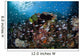 Colorful Coral Reef Is Wall Decal Design 5