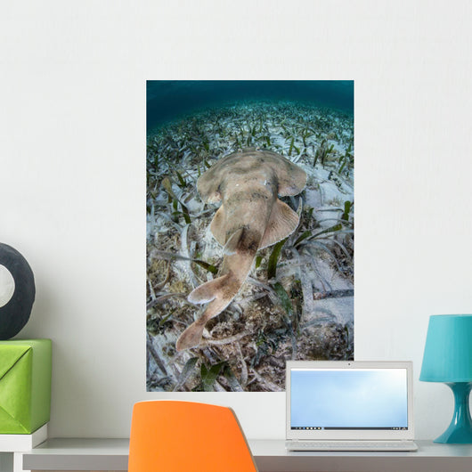 Electric Ray Seafloor Turneffe Wall Decal Design 1