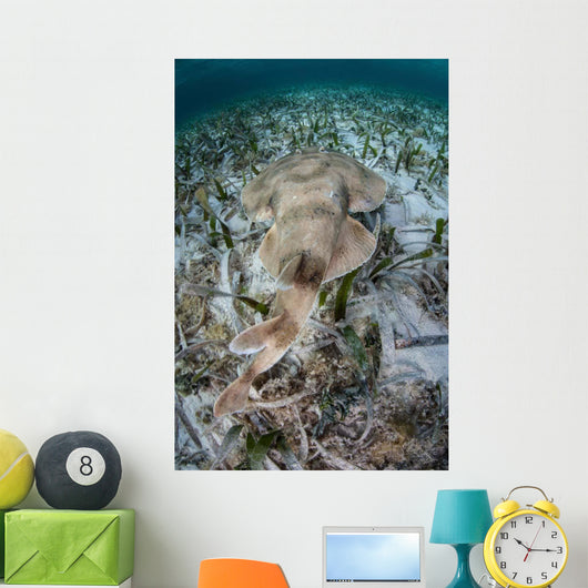 Electric Ray Seafloor Turneffe Wall Decal Design 1