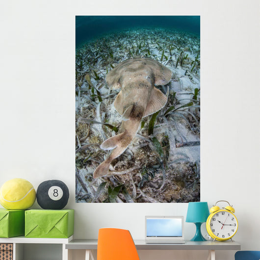 Electric Ray Seafloor Turneffe Wall Decal Design 1