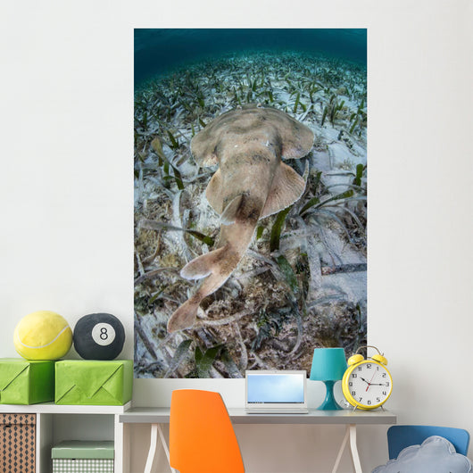 Electric Ray Seafloor Turneffe Wall Decal Design 1