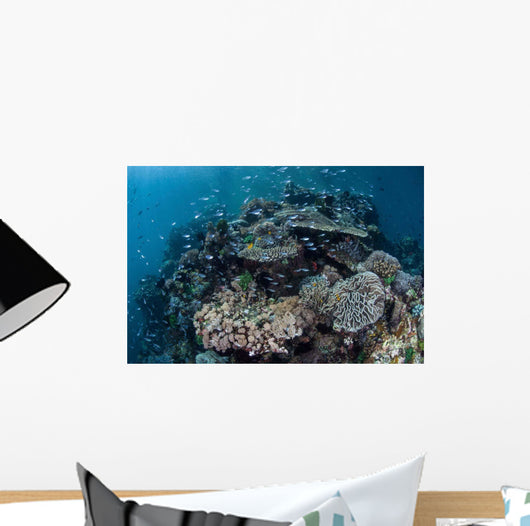 Colorful Coral Reef Is Wall Decal Design 4
