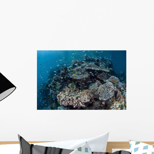 Colorful Coral Reef Is Wall Decal Design 4
