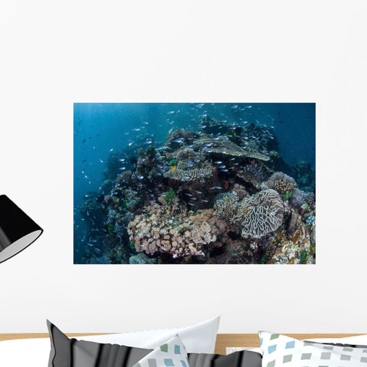 Colorful Coral Reef Is Wall Decal Design 4