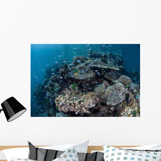 Colorful Coral Reef Is Wall Decal Design 4