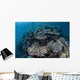 Colorful Coral Reef Is Wall Decal Design 4