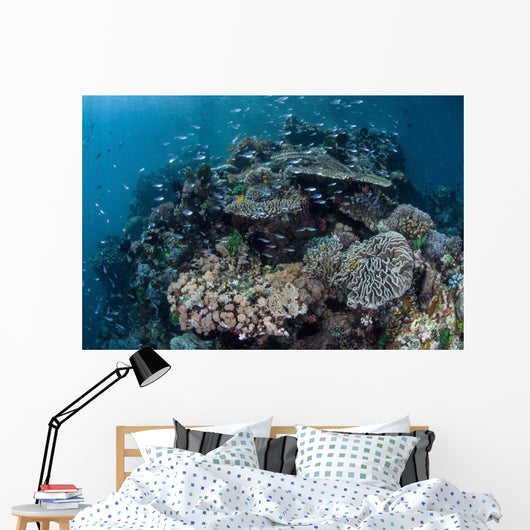 Colorful Coral Reef Is Wall Decal Design 4