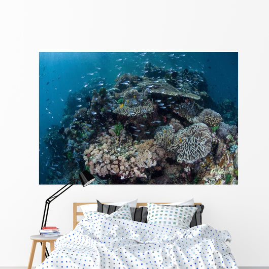 Colorful Coral Reef Is Wall Decal Design 4