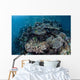 Colorful Coral Reef Is Wall Decal Design 4