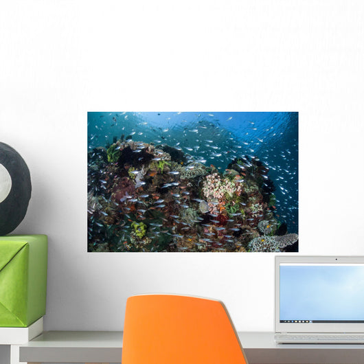 Colorful Coral Reef Is Wall Decal Design 3