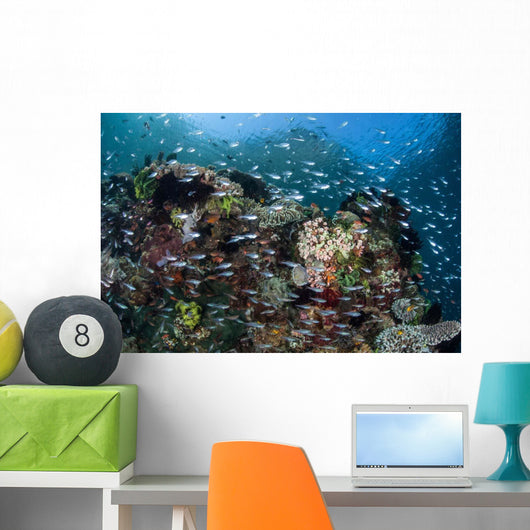 Colorful Coral Reef Is Wall Decal Design 3