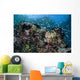 Colorful Coral Reef Is Wall Decal Design 3