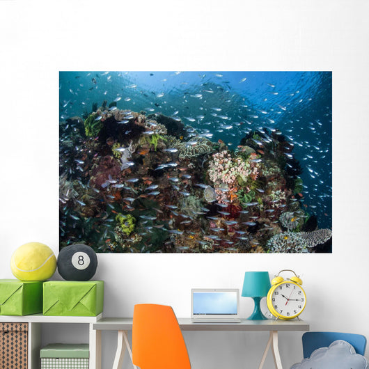 Colorful Coral Reef Is Wall Decal Design 3