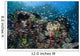 Colorful Coral Reef Is Wall Decal Design 3