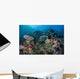 Colorful Coral Reef Is Wall Decal Design 2