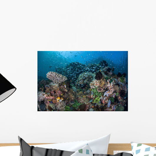 Colorful Coral Reef Is Wall Decal Design 2
