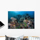 Colorful Coral Reef Is Wall Decal Design 2
