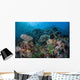 Colorful Coral Reef Is Wall Decal Design 2
