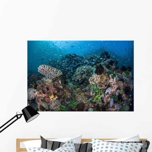 Colorful Coral Reef Is Wall Decal Design 2