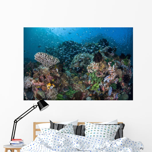 Colorful Coral Reef Is Wall Decal Design 2