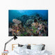 Colorful Coral Reef Is Wall Decal Design 2