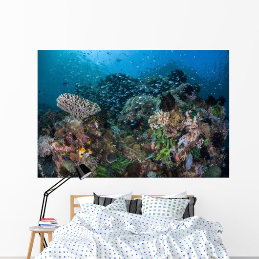 Colorful Coral Reef Is Wall Decal Design 2