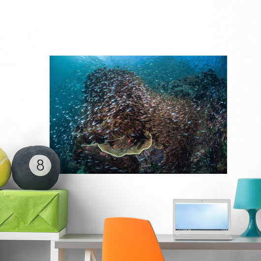 Colorful Coral Reef Is Wall Decal Design 1