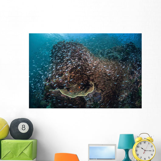 Colorful Coral Reef Is Wall Decal Design 1