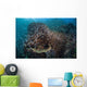 Colorful Coral Reef Is Wall Decal Design 1