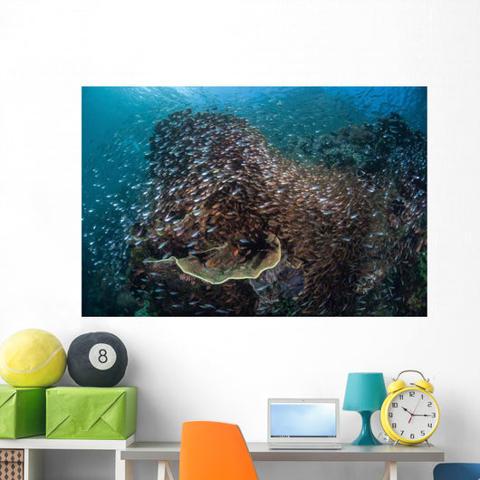 Colorful Coral Reef Is Wall Decal Design 1