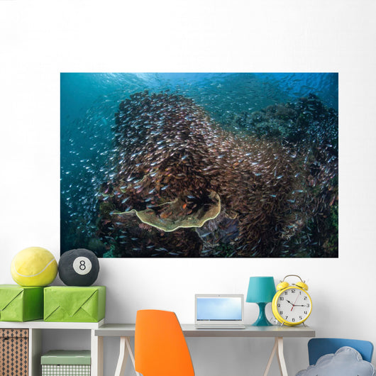Colorful Coral Reef Is Wall Decal Design 1