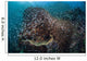 Colorful Coral Reef Is Wall Decal Design 1