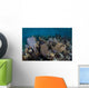 Gorgonians Grow Shallow Water Wall Decal Design 2