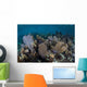 Gorgonians Grow Shallow Water Wall Decal Design 2