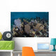Gorgonians Grow Shallow Water Wall Decal Design 2