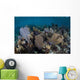 Gorgonians Grow Shallow Water Wall Decal Design 2
