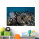 Gorgonians Grow Shallow Water Wall Decal Design 2