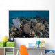Gorgonians Grow Shallow Water Wall Decal Design 2