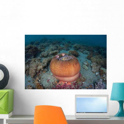 Colorful Magnificent Sea Anemone Wall Decal shown on a wall