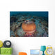 Colorful Magnificent Sea Anemone Wall Decal