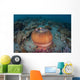 Colorful Magnificent Sea Anemone Wall Decal