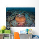 Colorful Magnificent Sea Anemone Wall Decal
