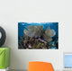 Gorgonians Grow Shallow Water Wall Decal Design 1