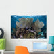 Gorgonians Grow Shallow Water Wall Decal Design 1