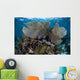 Gorgonians Grow Shallow Water Wall Decal Design 1