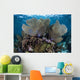 Gorgonians Grow Shallow Water Wall Decal Design 1