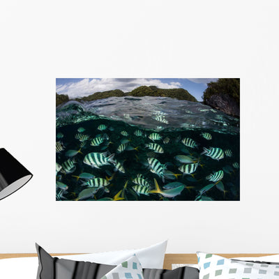 School Large Damselfish Palau's Wall Decal shown on a wall